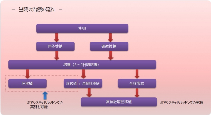 高度生殖医療の流れ